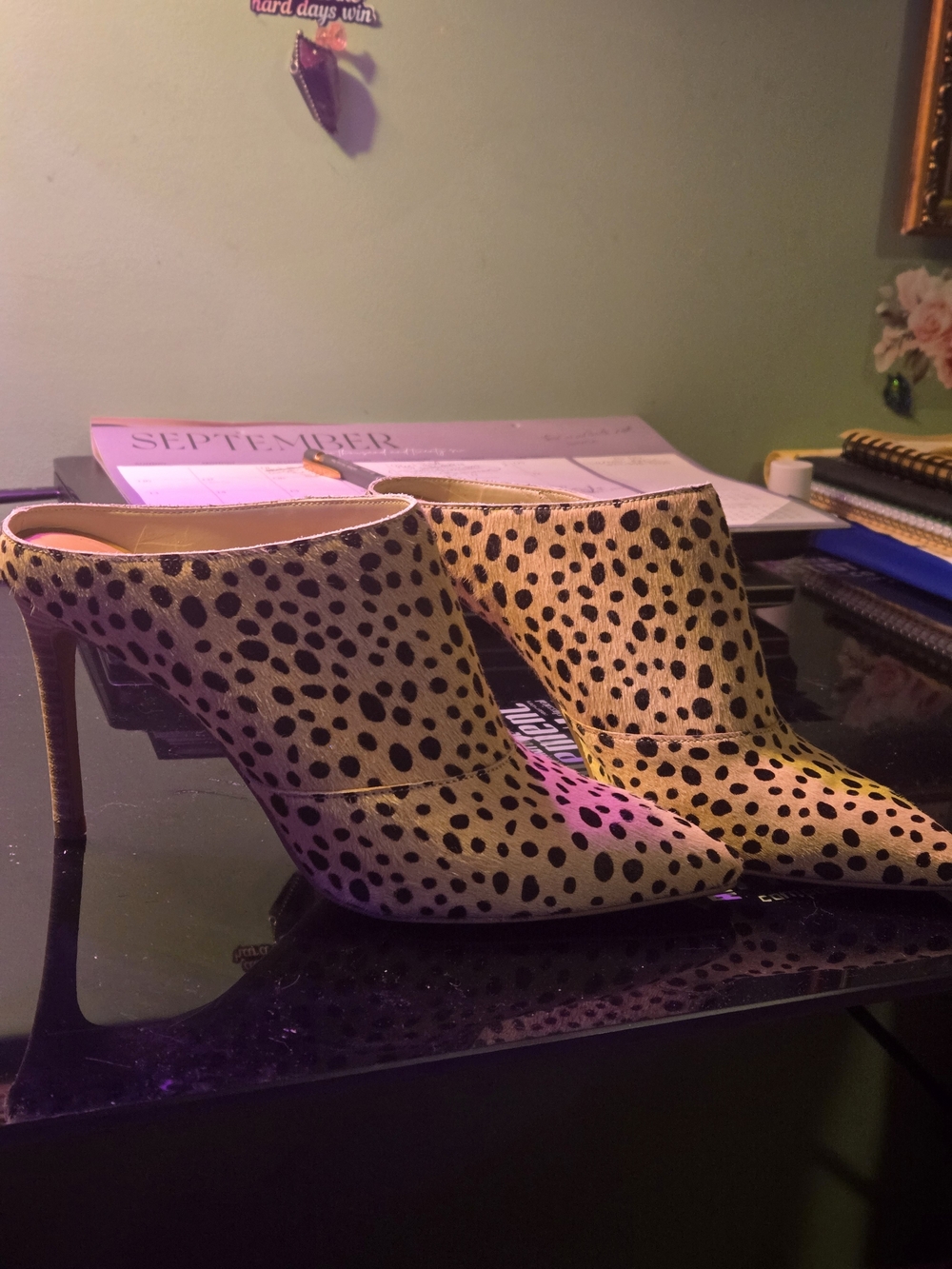 NWOT-Dolce Vita Leopard-Print Pointed-Toe Mules in Tan and Black - 8